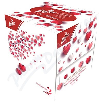 Paprov kapesnky LINTEO box 3vrst. 60ks LOVE