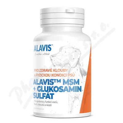 ALAVIS MSM+Glukosamin sulfát tbl. 60